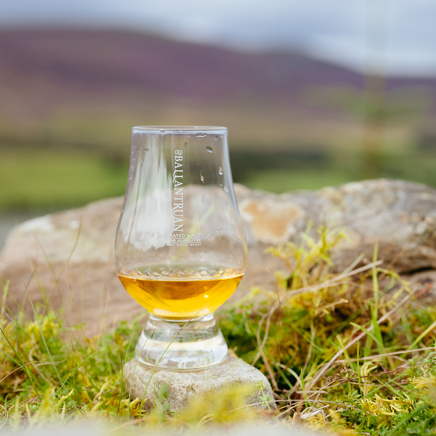 Old Ballantruan Glencairn Crystal Tasting Glass